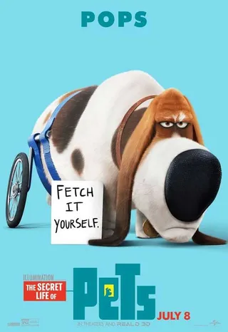 The Secret Life Of Pets Funny Pictures And Quotes 018
