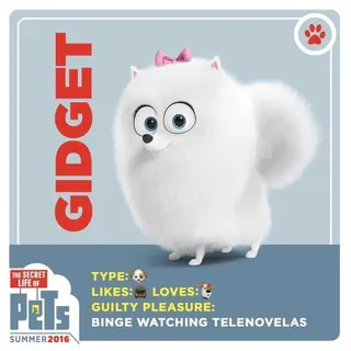The Secret Life Of Pets Funny Pictures And Quotes 020