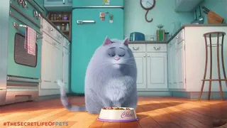 The Secret Life Of Pets Funny Pictures And Quotes 022