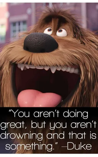 The Secret Life Of Pets Funny Pictures And Quotes 023