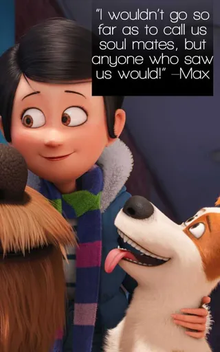 Secret Life Of Pets Meme