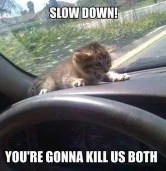 66 Funny Pictures  Slow Down