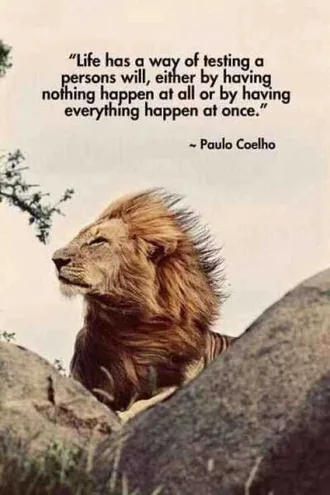 Amazing Inspirational Quotes 030