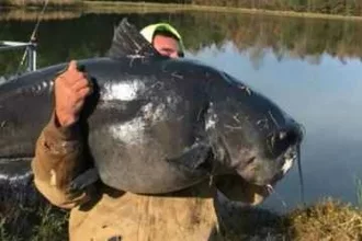 North Carolina Man Caught A 112 Pound Catfish On The Cape Fear River