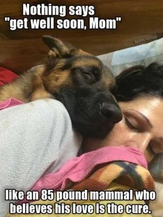 Very Funny Animal Pictures 002