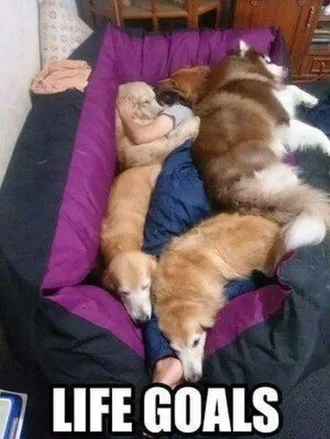 Very Funny Animal Pictures 005