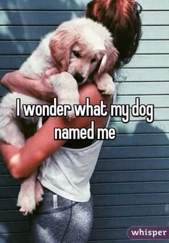 Very Funny Animal Pictures 007