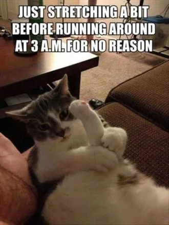 Very Funny Animal Pictures 009