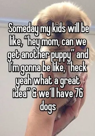 Very Funny Animal Pictures 012
