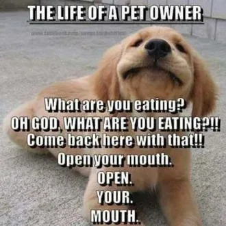 Very Funny Animal Pictures 015