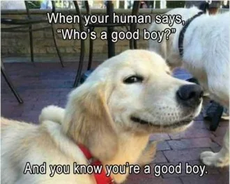 Very Funny Animal Pictures 017