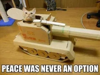 Very Funny Animal Pictures 018