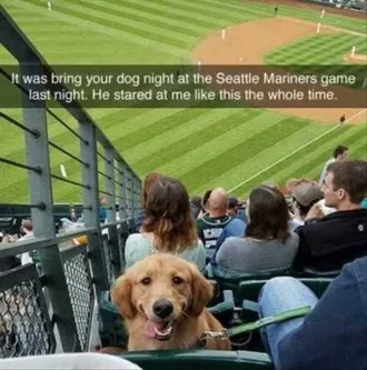 Very Funny Animal Pictures 023