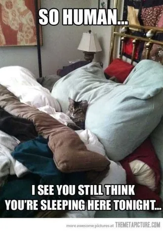 Very Funny Animal Pictures 024