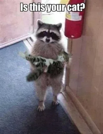 Very Funny Animal Pictures 029