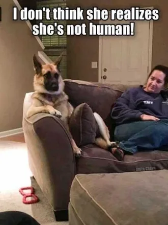 Very Funny Animal Pictures 030