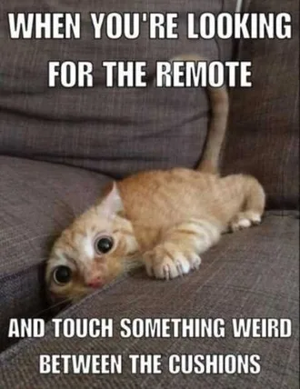 Very Funny Animal Pictures 032