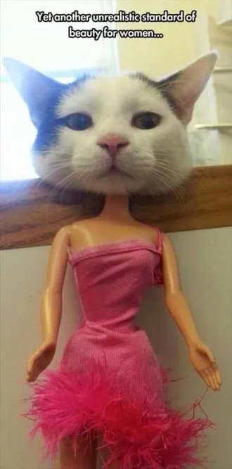 Very Funny Animal Pictures 035