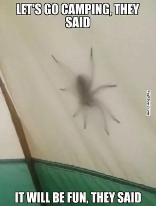 Funny Animal Pictures That Will Make Your Day 007