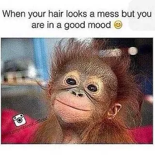 Funny Animal Pictures That Will Make Your Day 018