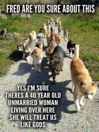 Funny Animal Pictures That Will Make Your Day 023