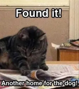 Funny Animal Pictures That Will Make Your Day 025
