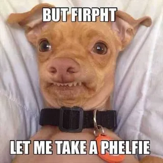 Funny Animal Pictures That Will Make Your Day 026