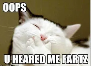 Funny Animal Pictures That Will Make Your Day 034