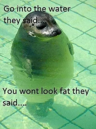 New Funny Animal Pictures Youre Going To Love 2020