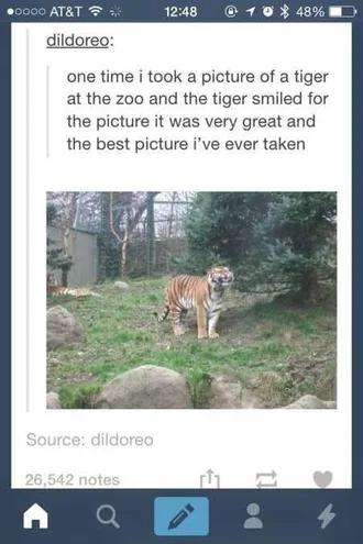 Really Funny Pictures 3001
