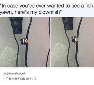 Really Funny Pictures 3009