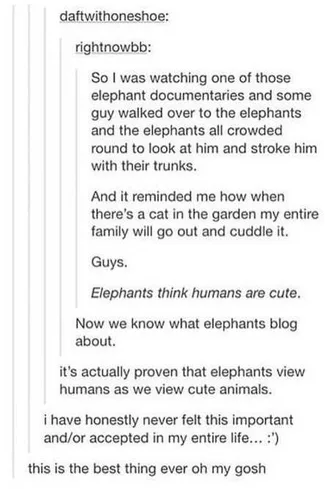 Really Funny Pictures 3010