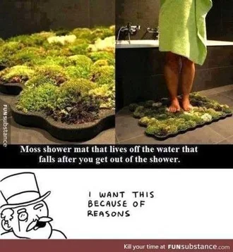 Really Funny Pictures 3011