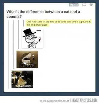Really Funny Pictures 3012