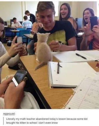 Really Funny Pictures 3013