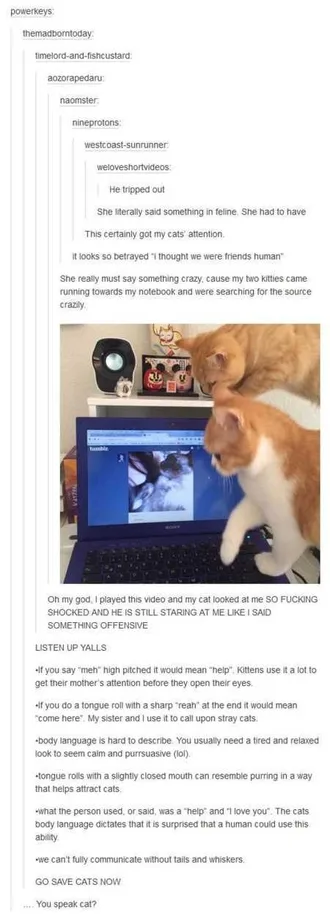Really Funny Pictures 3015