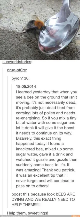 Really Funny Pictures 3019