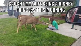 Really Funny Pictures 3029