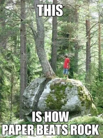 The Best Funny Pics Ever 4021