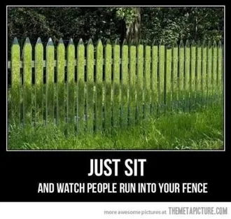 The Best Funny Pics Ever 4027