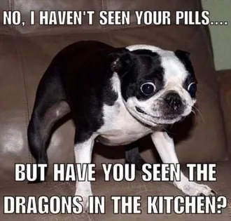 Funny Animals Cant Stop Laughing 112