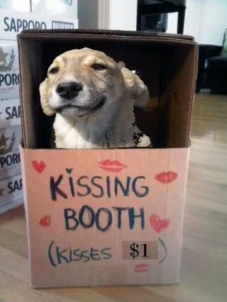 Funny Animals Cant Stop Laughing 114