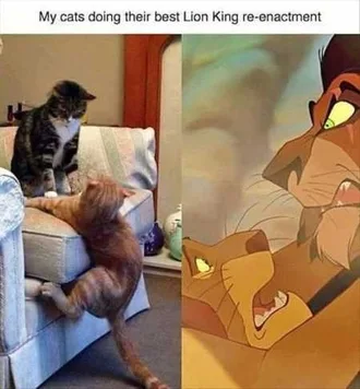 Funny Animals Cant Stop Laughing 118