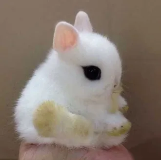 Funny Baby Animals 208
