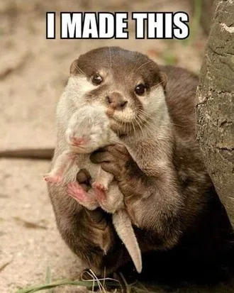 Funny Baby Animals 222