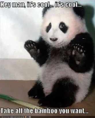 Funny Baby Animals 223