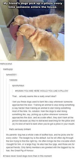 The Funniest Pictures You Will See All Day 324