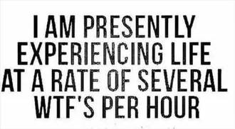 The Funniest Quotes Ever 323