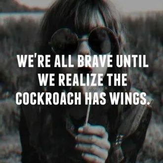 The Funniest Quotes Ever 333