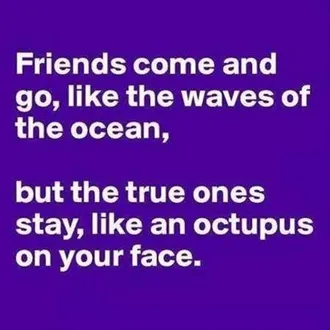 The Funniest Quotes Ever 340